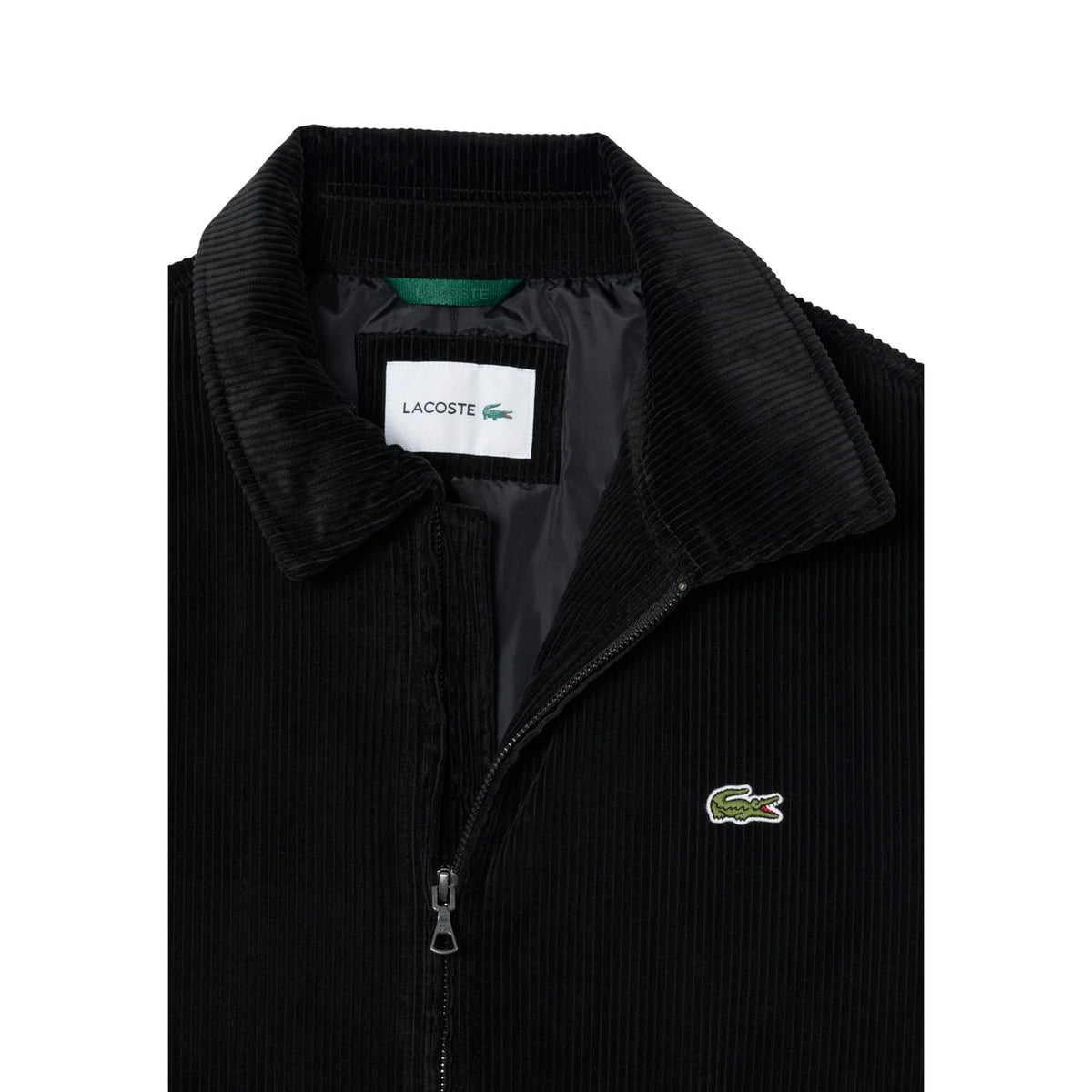 Lacoste Bomber Uomo