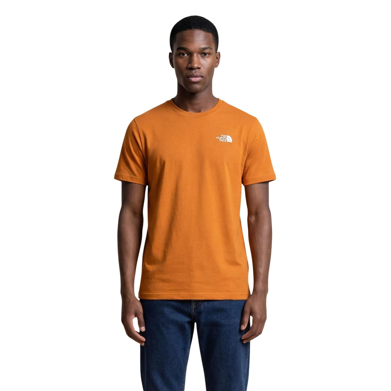 The North Face T-Shirt M EVOLUTION SIMPLE DOME REGULAR SHORT SL maniche corte Uomo NF0A8CZ2