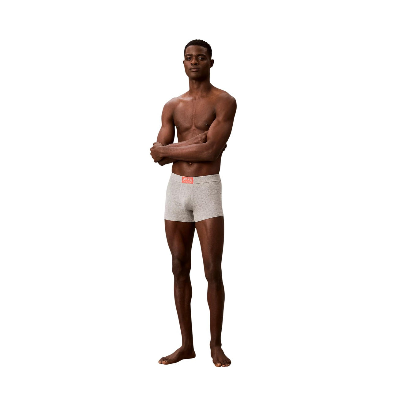 Boxer Uomo grigio Calvin Klein Trunk; Modello corto aderente in cotone e lycra elasticizzata. Tessuto a righe verticali tono su tono con etichetta logo New York City sulla vita elastica, stile casual-luxury 4 stagioni. Figura intera 