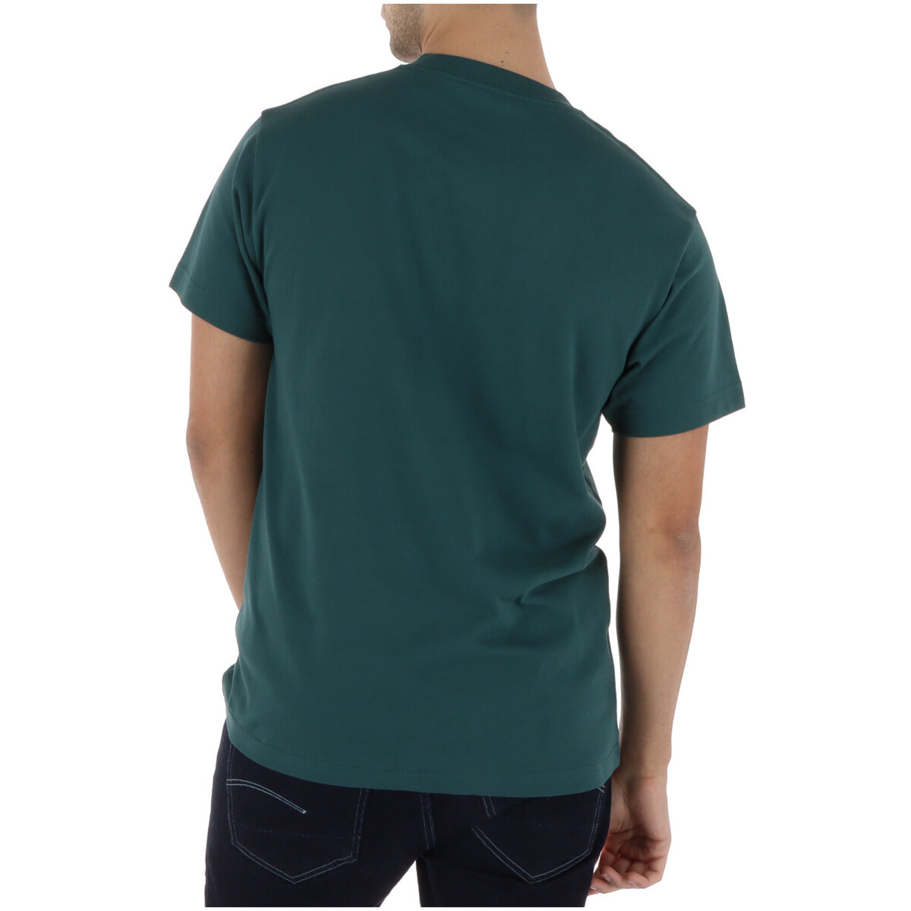 Vans T-shirt RA1FRJ1 Verde; 100% cotone, stampa grafica, maniche corte. L'essenziale street-style robusto e di tendenza. Vista posteriore 