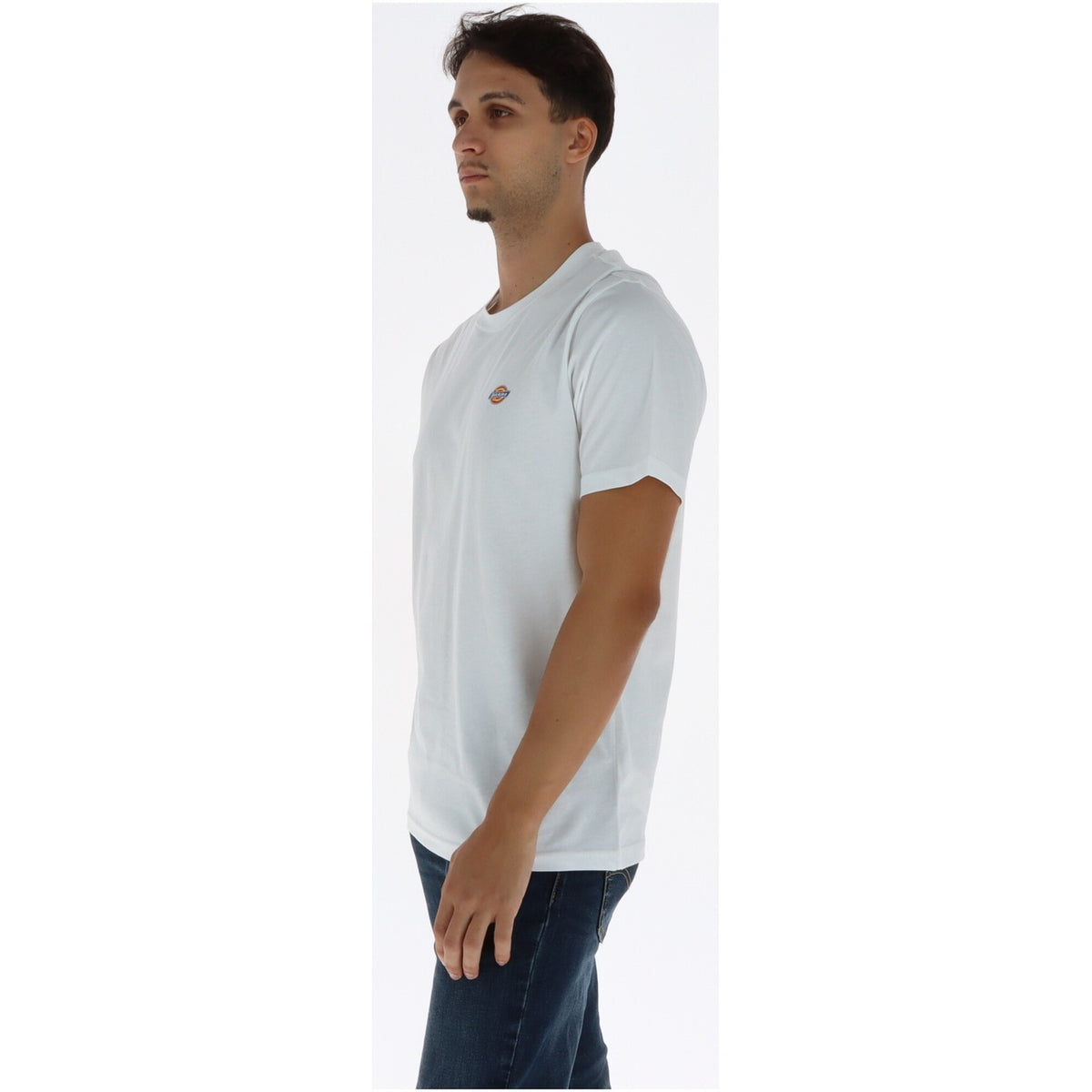 Dickies T-Shirt Uomo