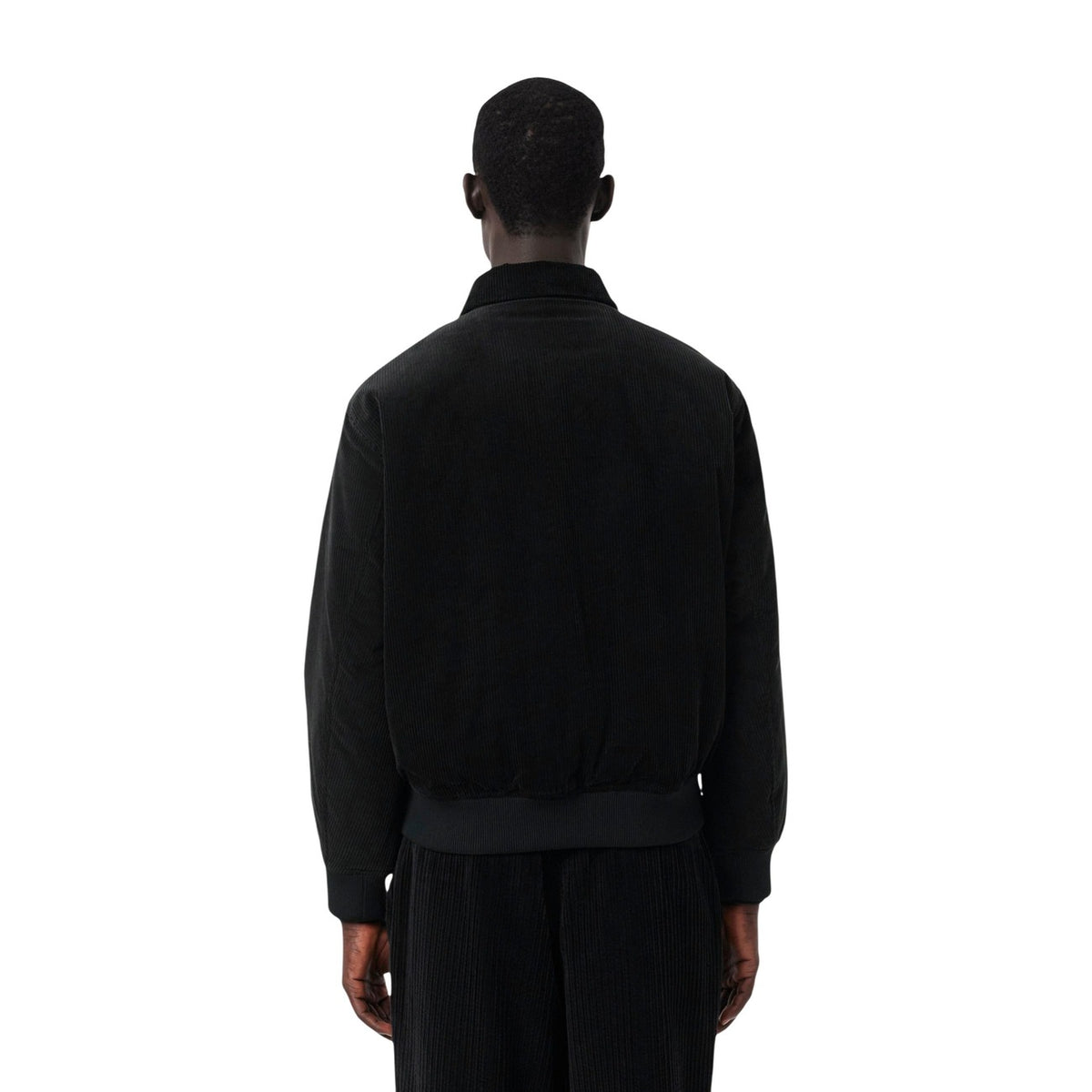 Lacoste Bomber Uomo