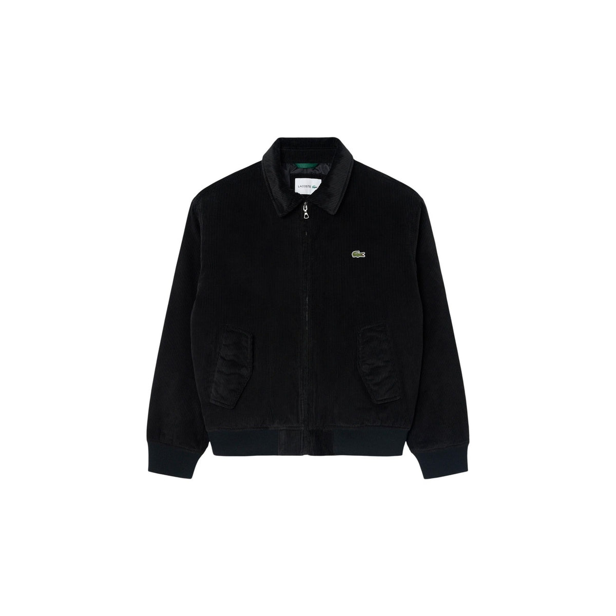 Lacoste Bomber Uomo