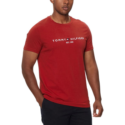 Tommy Hilfiger Jeans T-Shirt manica corta Uomo