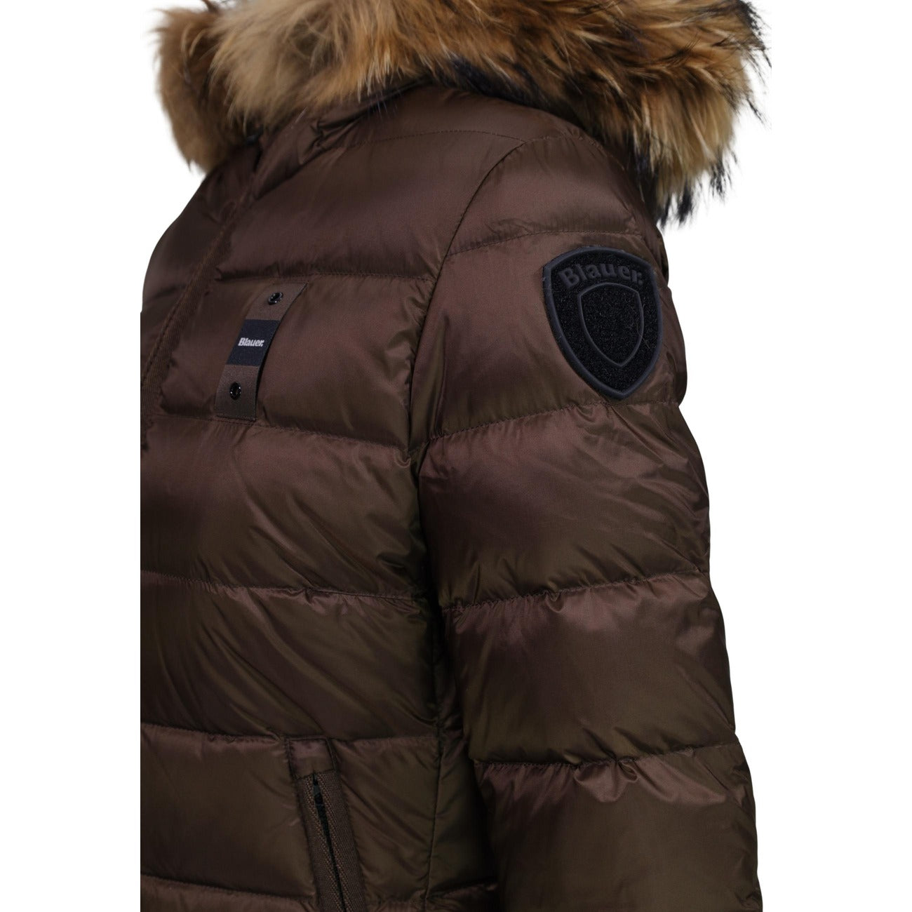Piumino donna Blauer marrone Charme 26WBLDC03037. Giubbotto corto da donna marrone slim fit trapuntato orizzontale con cappuccio avvolgente, zip doppio cursore e logo Blauer su petto e manica, giacca invernale calda e casual chic.