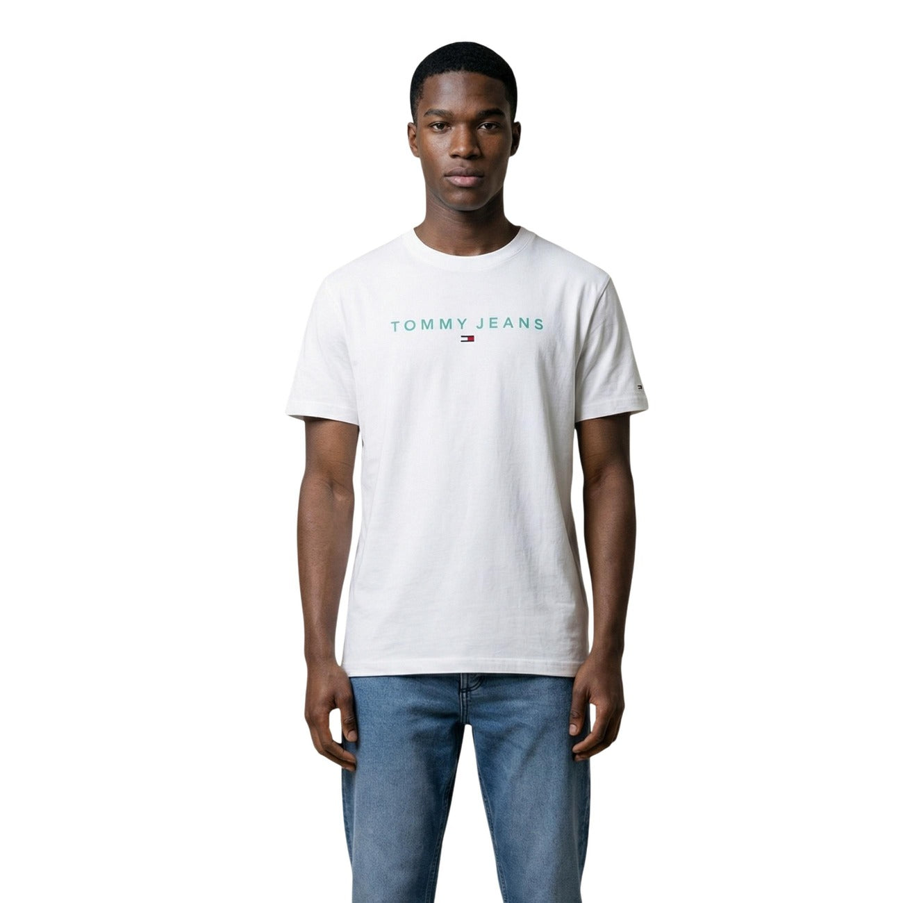 Tommy Hilfiger Jeans T-Shirt TJM REG LINEAR LOGO maniche corte Uomo DM0DM20744