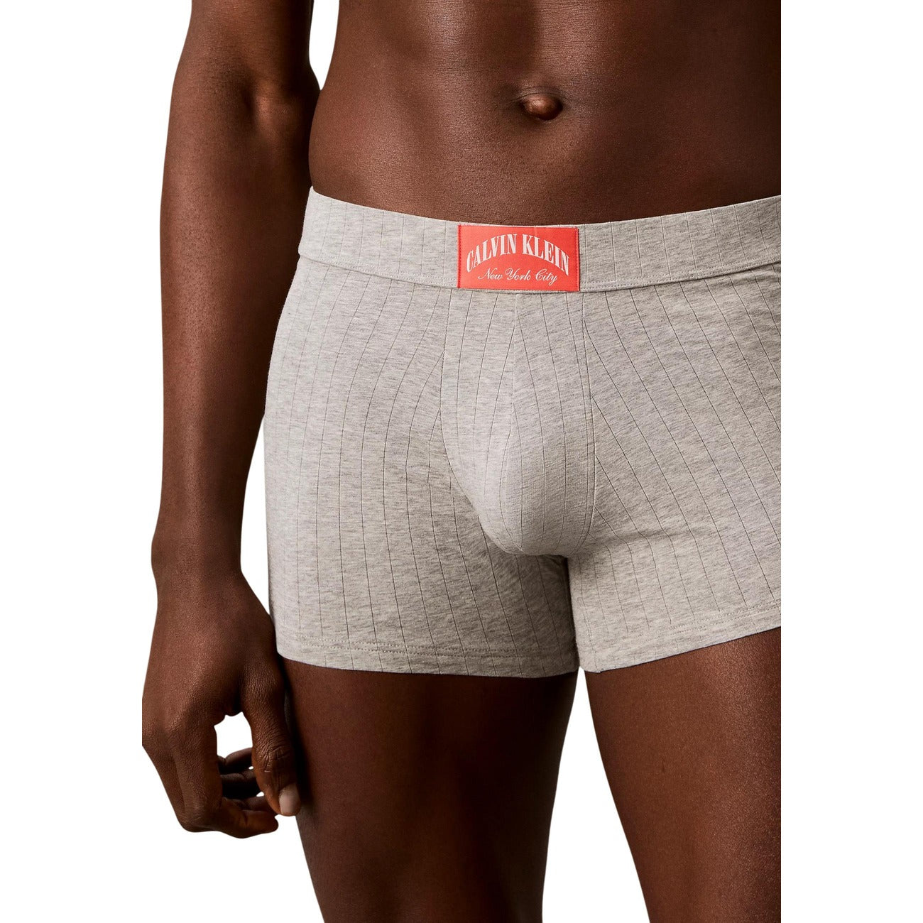 Boxer Uomo grigio Calvin Klein Trunk; Modello corto aderente in cotone e lycra elasticizzata. Tessuto a righe verticali tono su tono con etichetta logo New York City sulla vita elastica, stile casual-luxury 4 stagioni. Frontale dettaglio 