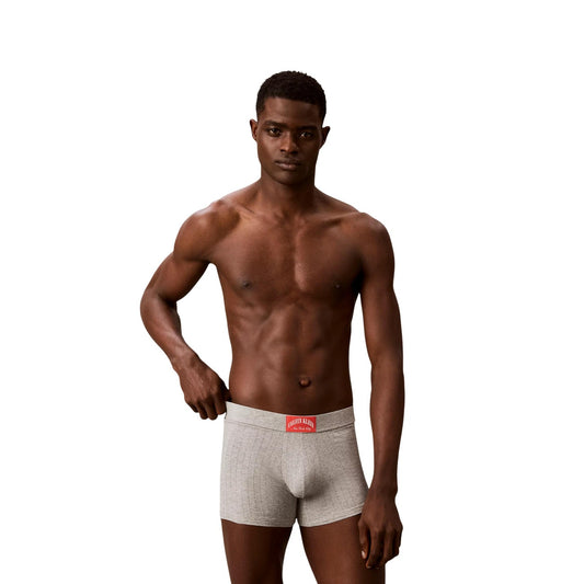 Boxer Uomo grigio Calvin Klein Trunk; Modello corto aderente in cotone e lycra elasticizzata. Tessuto a righe verticali tono su tono con etichetta logo New York City sulla vita elastica, stile casual-luxury 4 stagioni. Vista frontale 